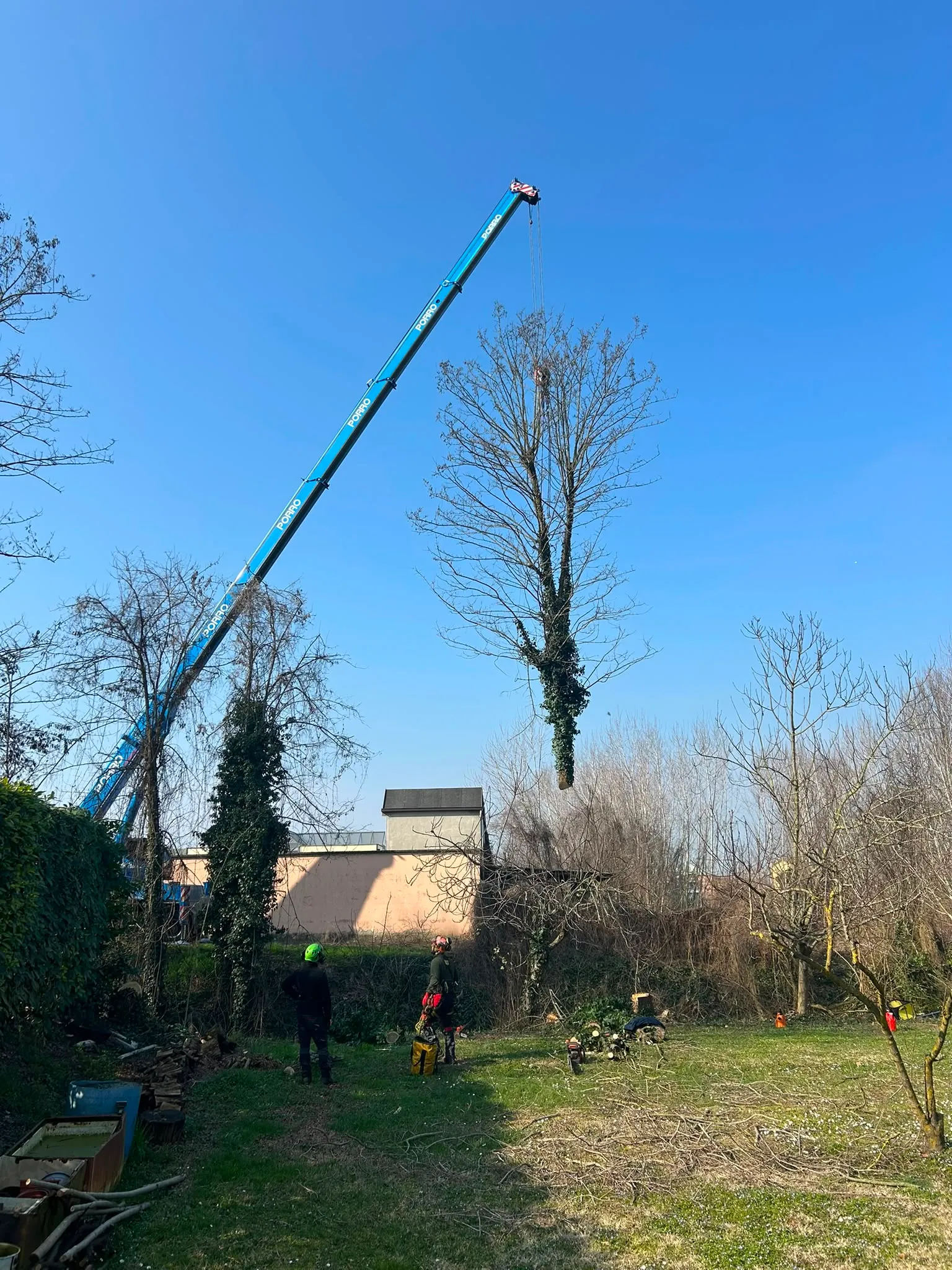 Abbattimento di albero alto con autogru in giardino