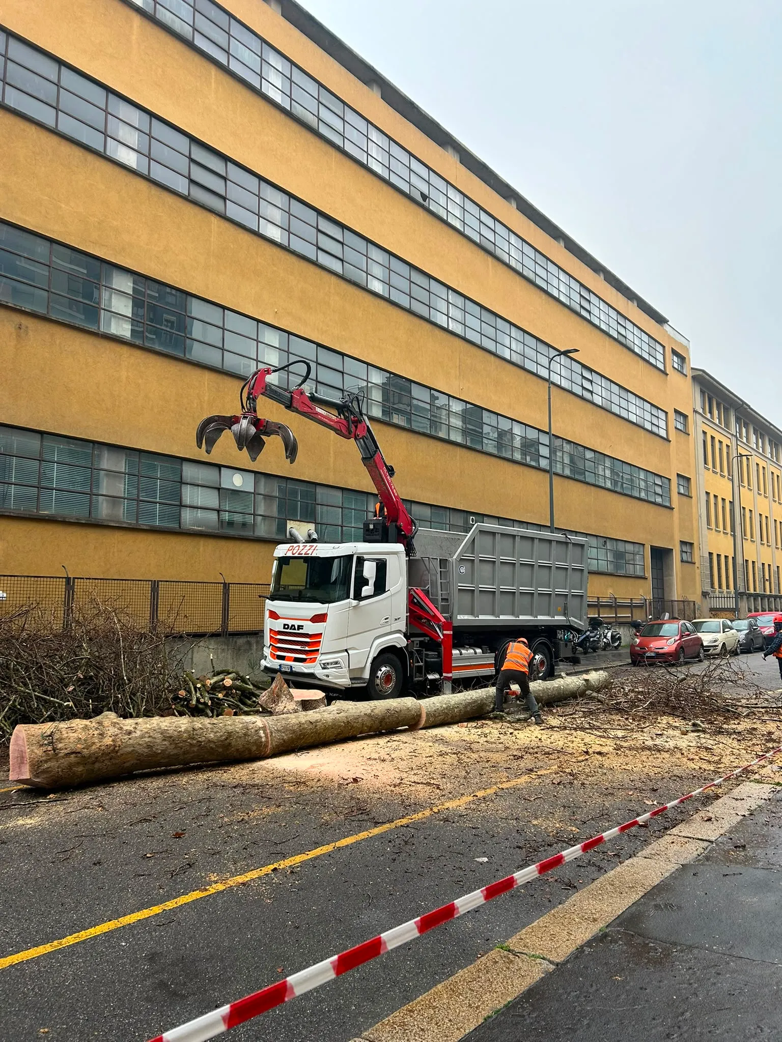 Abbattimento di un albero con gru stradale e area di cantiere delimitata