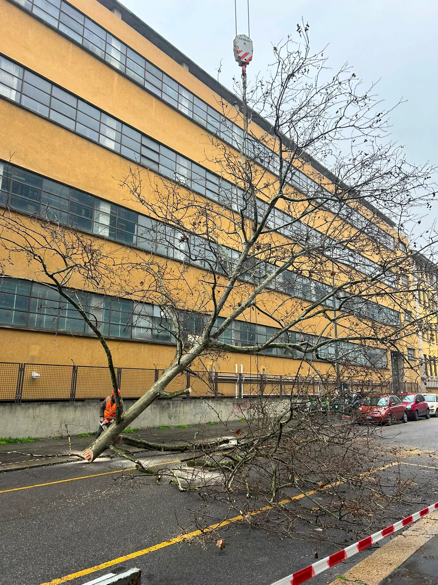 Abbattimento controllato di un albero vicino a un edificio
