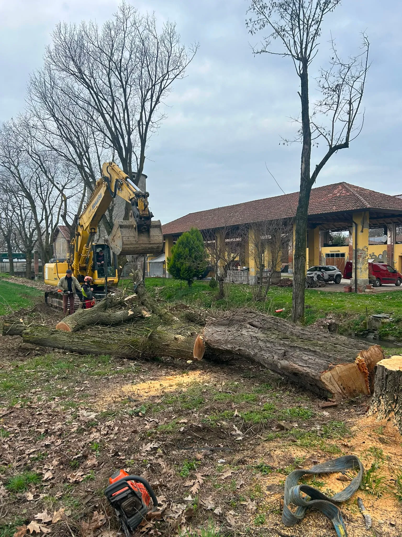 Movimentazione dei tronchi con escavatore dopo il taglio dell'albero