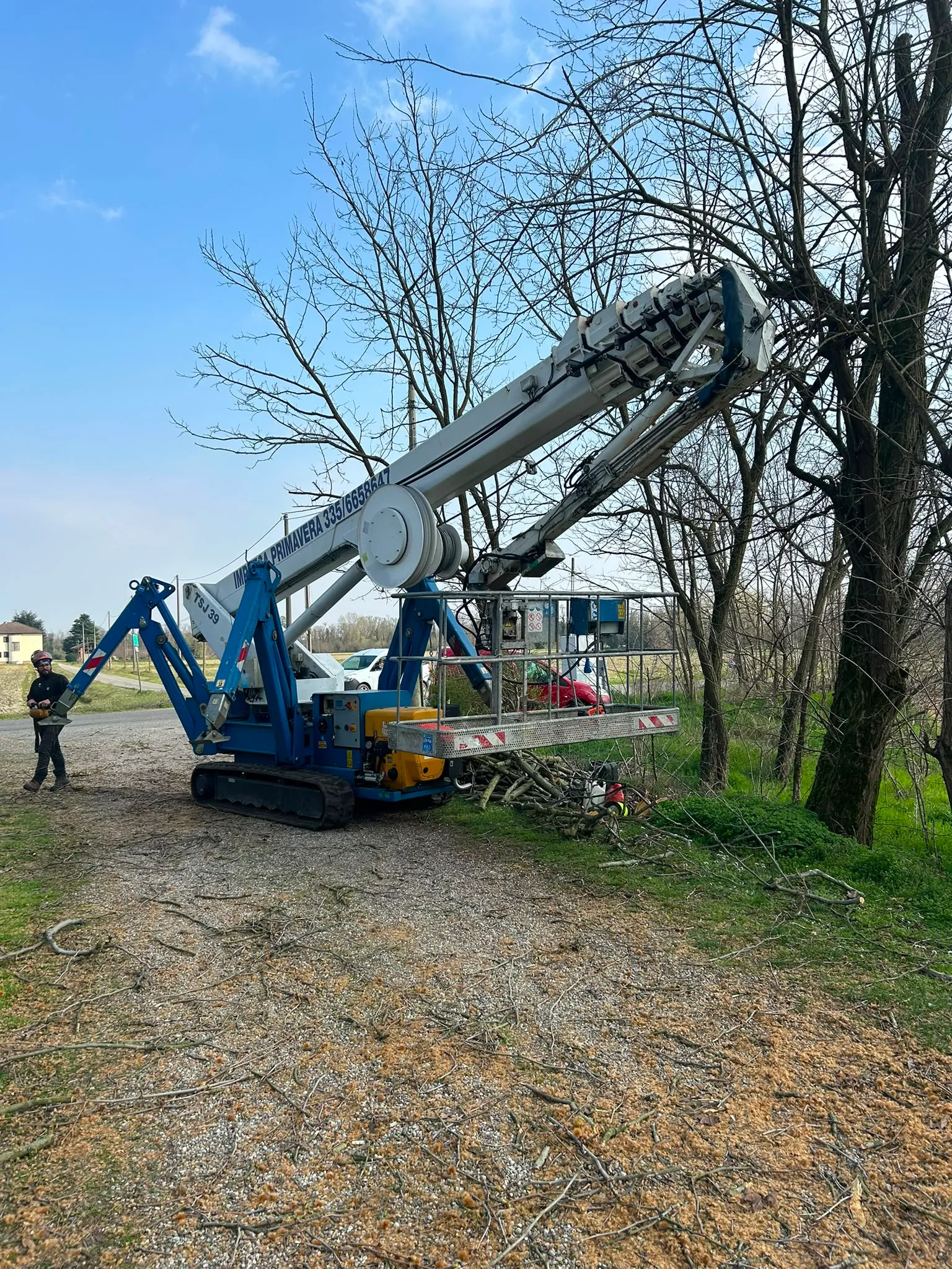 Intervento di potatura alberi con gru in un parco