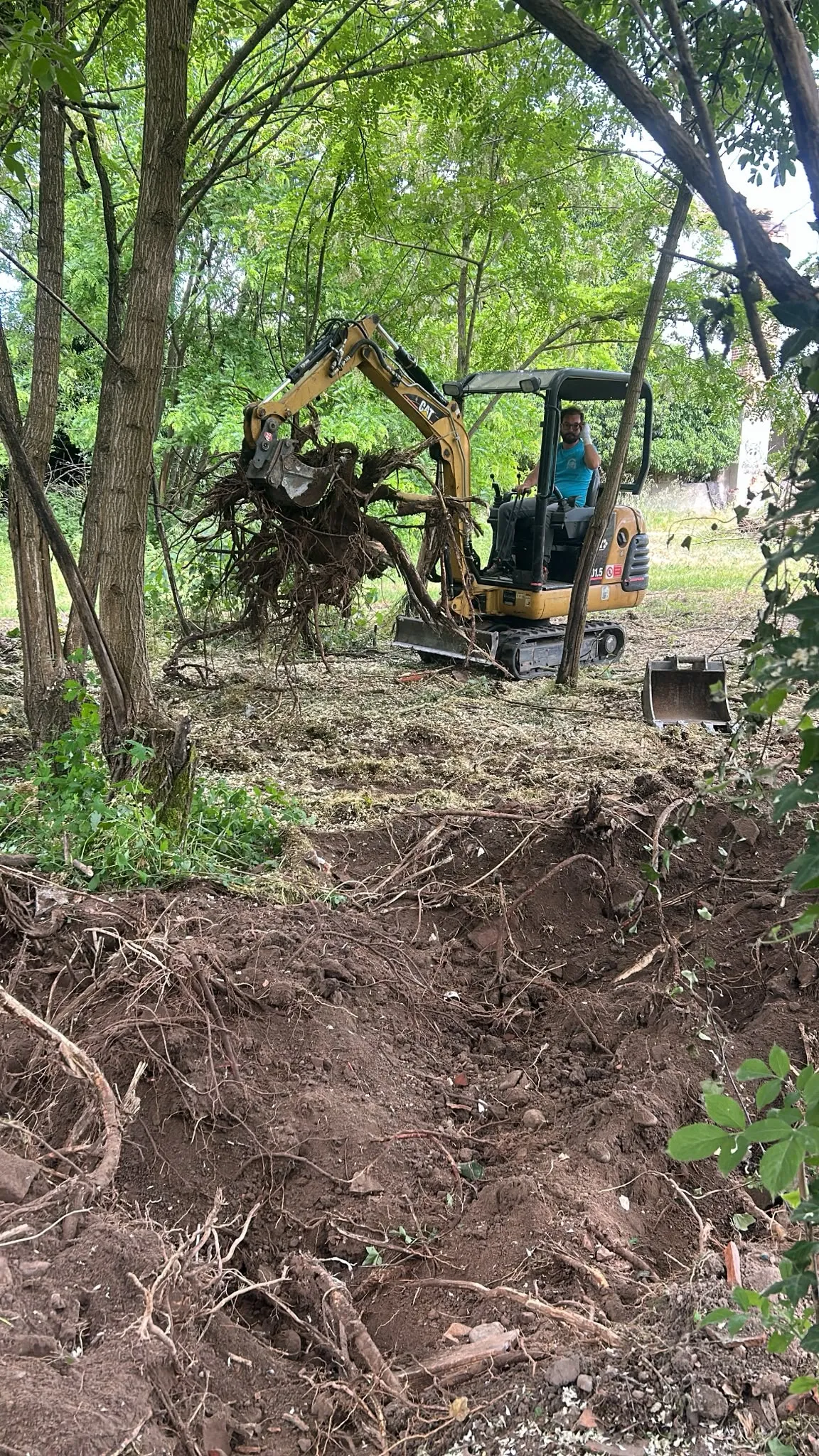 Pulizia del sottobosco con mini escavatore