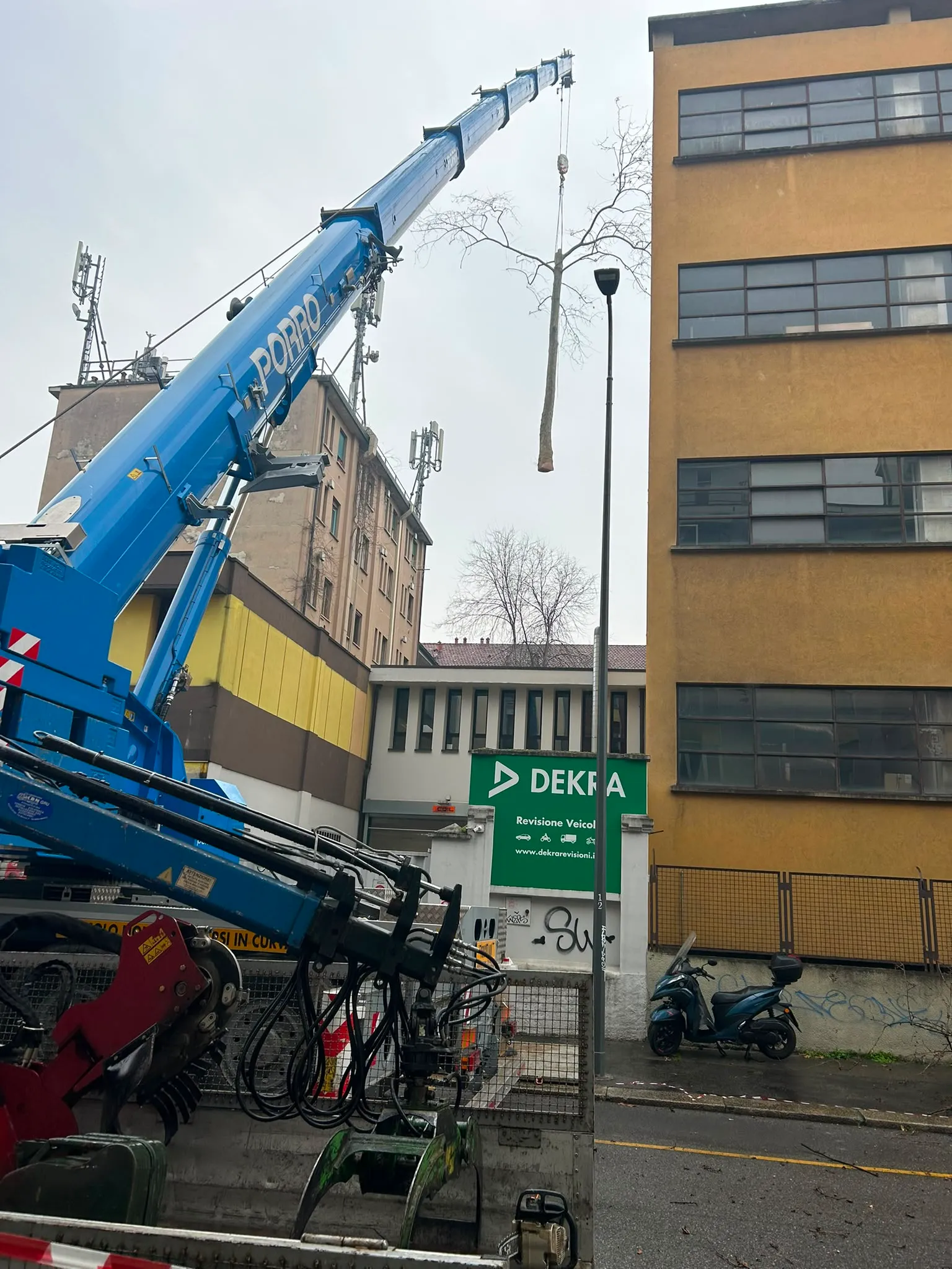 Rimozione di tronchi con autogru in centro urbano